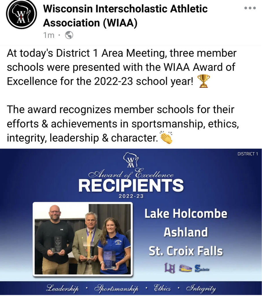 WIAA Award of Excellence